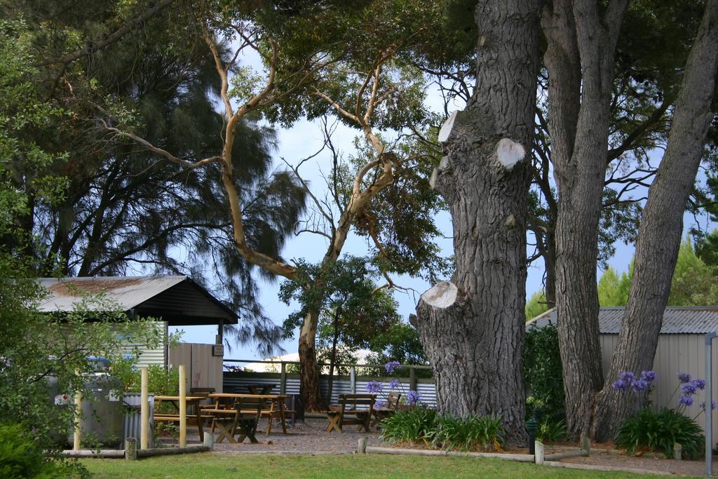 Millicent Hillview Caravan Park Экстерьер фото