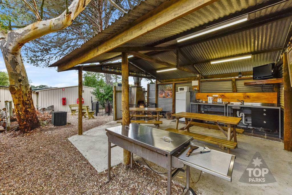 Millicent Hillview Caravan Park Экстерьер фото